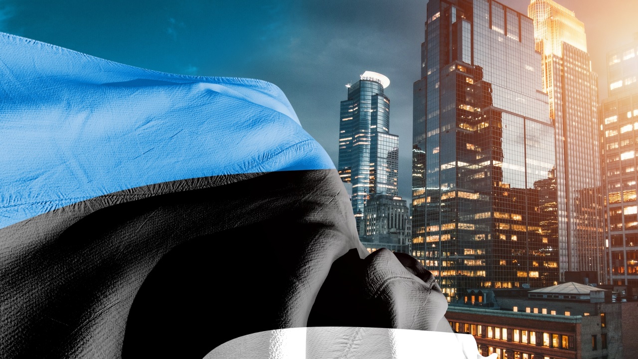 Estonia-Licensed Crypto Firms Blamed for &euro;1 Billion in Damages